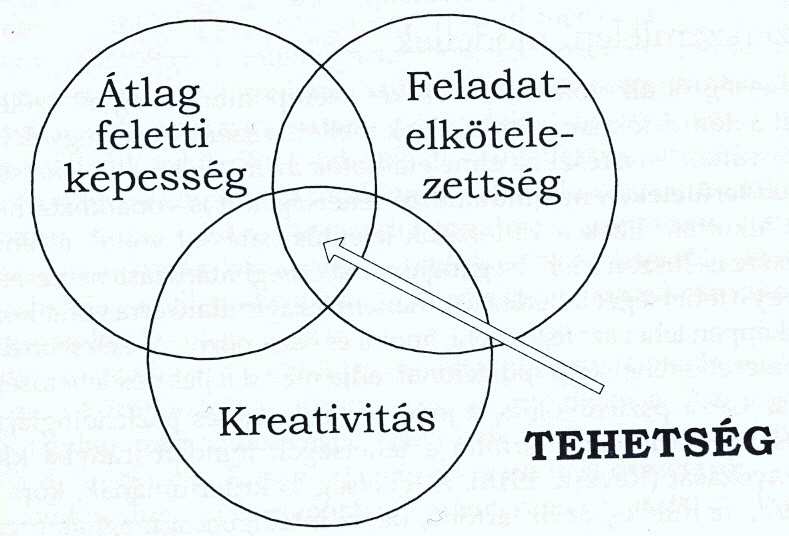 Szükségesek: területi képességek (háttértudás), kreatív képességek (kockáztatási hajlam, kísérletezés, stb.
