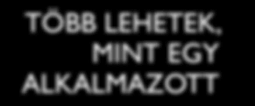A dolog érdekessége, hogy a volt párom már rég nincs az üzletben, én pedig itt maradtam. Mi fogott meg? Az elején akartam is meg nem is, ami igazán megfogott, hogy több lehetek, mint egy alkalmazott.