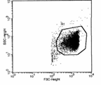 Aplasztikus anemia kis NH