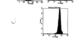 kapott átlag MFI érték (-3 cső) Fmrp=Inhibitor2-vel kapott átlag MFI érték