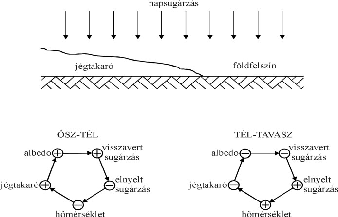 Ha a hőmérséklet időközben lecsökken, a bimetall visszanyeri eredeti alakját, zárja az áramkört és a fűtés újra indul.