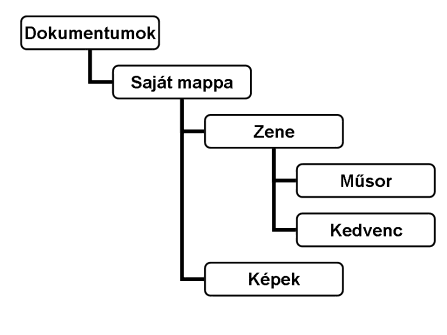 A mappa a programok és dokumentumok rendszerezésére szolgál a lemezen. Tartalmazhat fájlokat és almappákat. A mappák rendszerét mappaszerkezetnek, könyvtárnak, fának, vagy gráfnak is szokták nevezni.