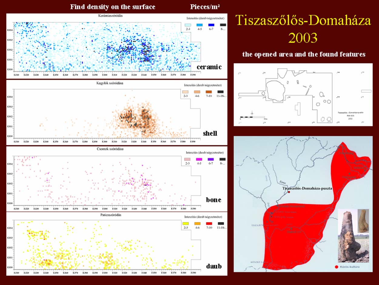 7 2. ábra: Tiszaszőlős-Domaháza, leletsűrűség Az 1973-ban Méhtelken megkezdett ásatás jelentős fordulatot hozott a Körös-kultúra kutatásában 17. Kalicz N. és Makkay J.