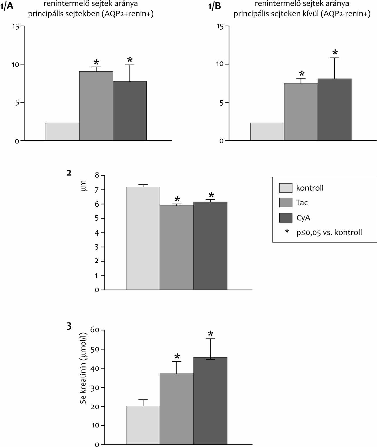 Prókai et al. A reninszekréció vizsgálata 22 β 3. ábra 1.