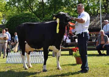 Egyesületi élet Holstein-fríz tehén IX.