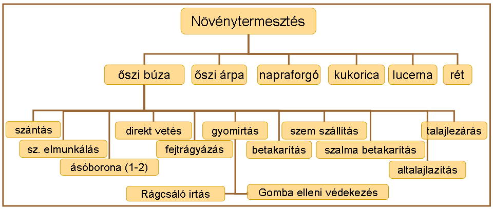 5B5. Eredmények Ezt a virtuális kiszolgáló ágazatot úgy terveztem, hogy az itt szereplő elemek között nincs statikus hozzárendeltségi viszony.