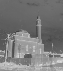 HOVA TÛNT A SOK VIRÁG Kistim iszlám mecsetje A mesterséges tó partján megnéztük Gyemidov lerobbant palotáját, az öntöttvasból készült szökõkutat, amely ottjártunkkor felújítás alatt volt.