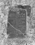 HOVA TÛNT A SOK VIRÁG Jakob Weis és bajtársai sírköve Johann Biereder és bajtársai sírköve Szabó György, az egyik kolozsvári túlélõ a rendszerváltás