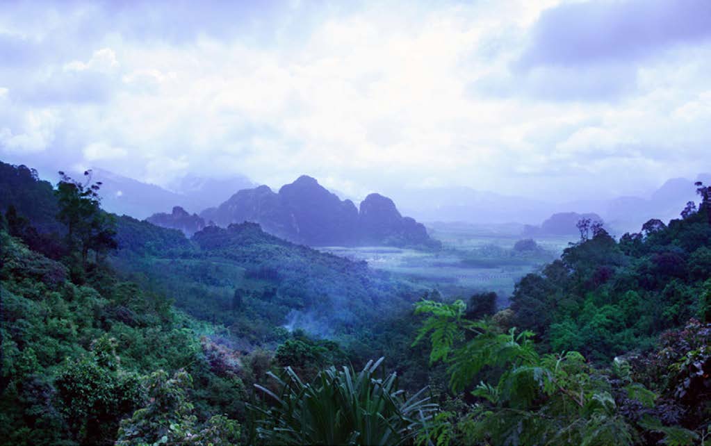 1. KHAO SOK NEMZETI PARK Dél-Thaiföld egyik legszebb és érintetlenül megőrzött természeti látványossága a Khao Sok Nemzeti Park. Földünk legősibb esőerdeje borítja.