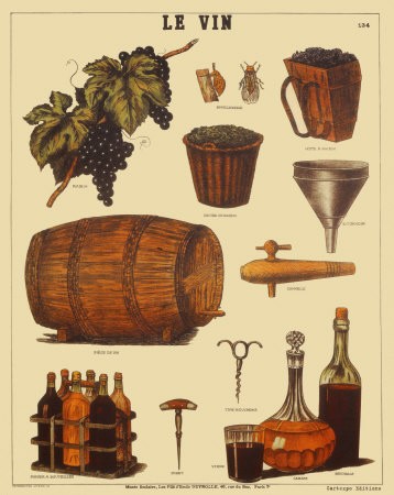 Szűd teljék meg az öröm borával A bor szőlőből, vagy gyümölcsből, készült ital. Jellegzetességéhez tartozik, hogy alkoholtartalmú.