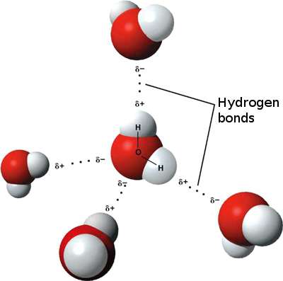 Van-der-Waals kötések (fizikai kötések) permanensen poláris molekulák között (dipóldipól kölcsönhatás) Szomszédos poláros molekulák között lép fel.