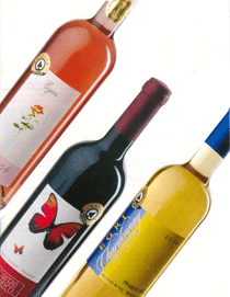 13. kép: Spar és Tesco (Selected by Tesco) saját márkás bor termékek Forrás: Saját győjtés és fotó Magyarországon A Lidlt többen is megjelölték, mint jó borok forrását, hiszen ezeken a borokon nem