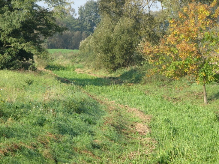 Völgyzárógátas halastó vagy horgásztó