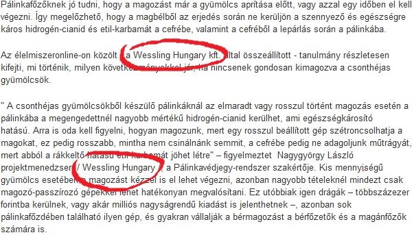 Figyeljünk a cégnév feltüntetésére és a linkelésre!