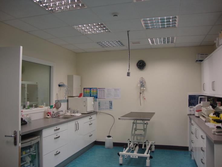 A kutya hospitalizációs ekülönítő Az