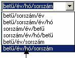Törzsadatok 38 Kattintsunk a <Bővít> ikonra (most egy vevői altípus létrehozását mutatjuk be, de az összes többi naplónál is megegyezik a folyamat).