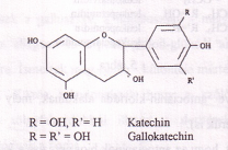 A szőlő kiemelkedően gazdag flavonoid vegyületekben. 4.1.2.4 Katechinek (3-flavanolok) A vegyületek alapváza a 2-fenil-kromán (flavan)-váz.