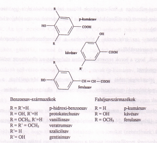 Feltételezhető, hogy a borban előforduló benzoesav-származékok az antocianinok lebomlásának termékei, miszerint a floroglucin mellett keletkezhet p1.