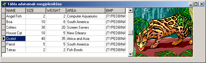 Delphi modul - 9. fejezet 4. Vegyünk most fel a táblánk mellé (szintén a DataAccess palettáról) egy DataSource elemet, és állítsuk át a DataSet tulajdonságát az egyetlen lehetséges Table1-re.