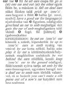 Tehát a tear főnév, amelynek magyar jelentése könny és az ugyancsak tear főnév, amelynek magyar jelentése szakadás, repedés, ugyanabban a szócikkben találhatók meg.