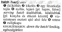 (Svensén 1993: 110).