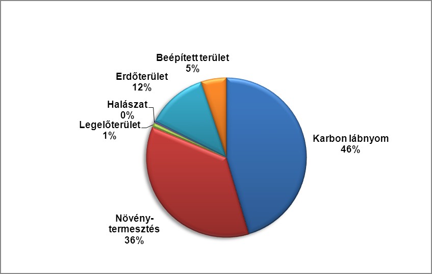 Per fő Magyarország Világ Biokapacitás (BC) [gha] 2,68 1,83 Termelés ökológiai lábnyoma [gha] 3,86 2,41 Nettó Import [gha] -0,27 Fogyasztás öklógiai lábnyoma [gha] 3,59 (BC - EF Termelés ) [gha]