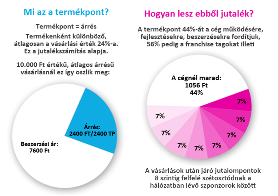 hálózatát és minden jogosultságát. 3. Jutalompontok számításának módja (kivéve a viszonteladói árakon történő vásárlásokat) 3.1.