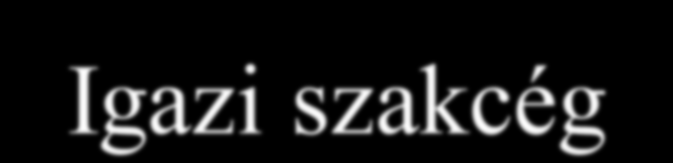 Pr szakcég/szolgáltatóe Egyszmélyes tanácsadó Családi bt mondja maga is cég Cikkügynökség