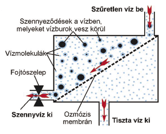 A fordított ozmózis elve A Tiszta Forrás víztisztító működése a természetből jól ismert folyamat, az ozmózis elvén alapul.