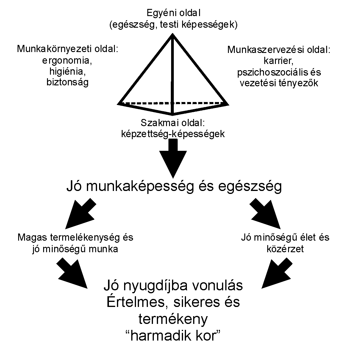 A Munkaképességi Index alkalmazása A Munkaképességi Index mindig egy adott személyt vizsgál egy adott munkakörben, ezért a munkahelyi tényezők szerepét nem lehet figyelmen kívül hagyni!