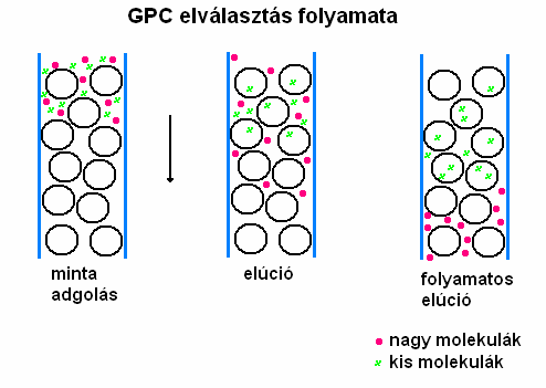 4.3.6. Gélkromatográfia Vizsgálataim során a fehérjék molekulaméret alapján történı elválasztását alkalmaztam Lactobacillus törzsek felülúszójából történı bakteriocin izolálására.