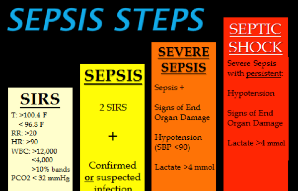 Szepszis stadiumai 2.