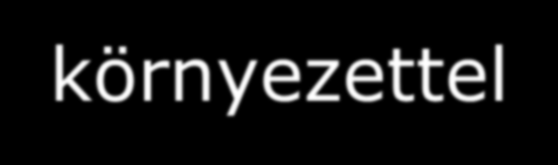 - Megküzdés személyes nehézségekkel - Érzelmi/hangulati labilitás - Konfliktusok a környezettel - Túlterheltség/Túledzettség: rövid távú sikerekre alapoz; sérülések valószínűsége és gyakorisága nő,