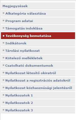 Pályázati folyamat Kategória specifikus adatok I.