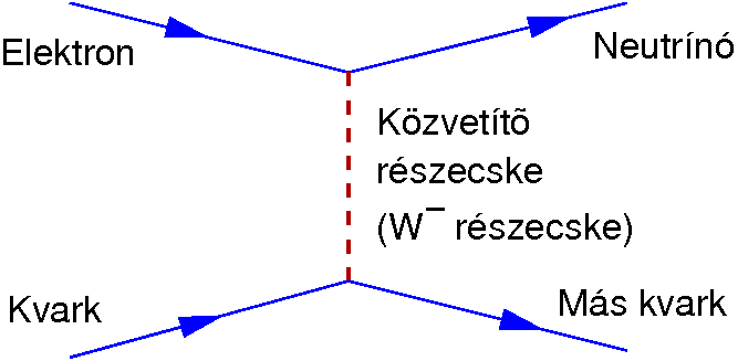 Erős és gyenge kölcsönhatások Erős kölcsönhatás (kvarkok kvantum-mezõi közt) Közvetítő részecske: gluon