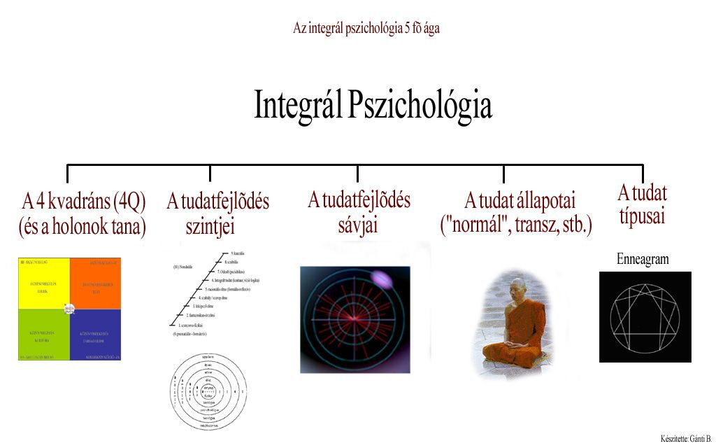 7 tanfolyamok, ahol az integrál rendszert tanítják (honlap: www.integralinstitute.org ). Magyarországon pedig megkezdte mûködését az Integrál Akadémia.