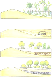 KÉMIA 9. ÉVFOLYAM Éves óraszám: 36 óra Heti óraszám: 1 óra TÉMAKÖRÖK 1. A hidrogén, a nemesgázok, a halogének és vegyületeik 1.1. A hidrogén 1.2. A nemesgázok 1.3. A halogének és vegyületeik 2.