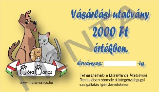 rendelõnkben bármely állategészségügyi szolgáltatás igénybevételekor (pl.: vizsgálatok, kezelések, mûtétek, vakcinázás, stb.).