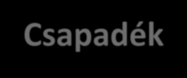 Csapadék