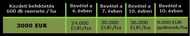 egyenesnövésű,összehúzódásra nemhajlamos és áltaban nagy az ellenállóképessége.
