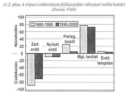 Szarvasmarha tenyésztés Szójabab termesztés 80