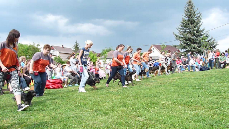 Itt a jó idő, kezdődik a sportszezon! Iskolánkban is sportolhatsz, a kutyáddal! Idén, az iskolai tagjainak támogatásával, 4 új akadállyal is bővültünk.