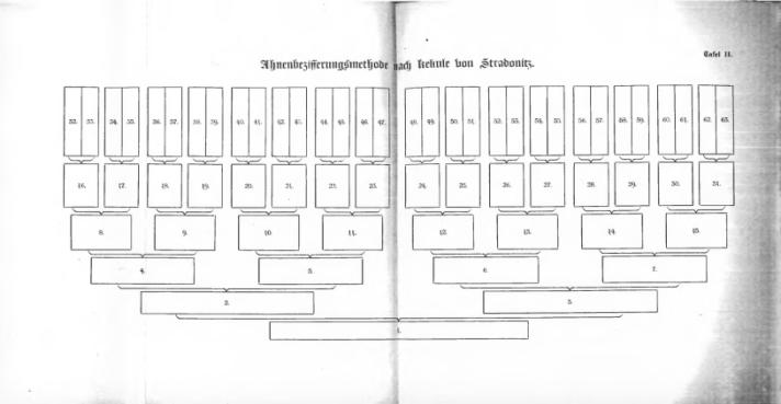 ISSN 2063-0077 A MAGYAR CSALÁDTÖRTÉNET-KUTATÓ EGYESÜLET KIADVÁNYA Stephan Kekule von Stradonitz Über eine zweckmäßige