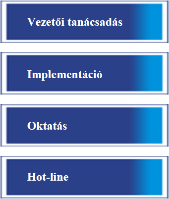 BI EPM üzletág Üzleti intelligencia
