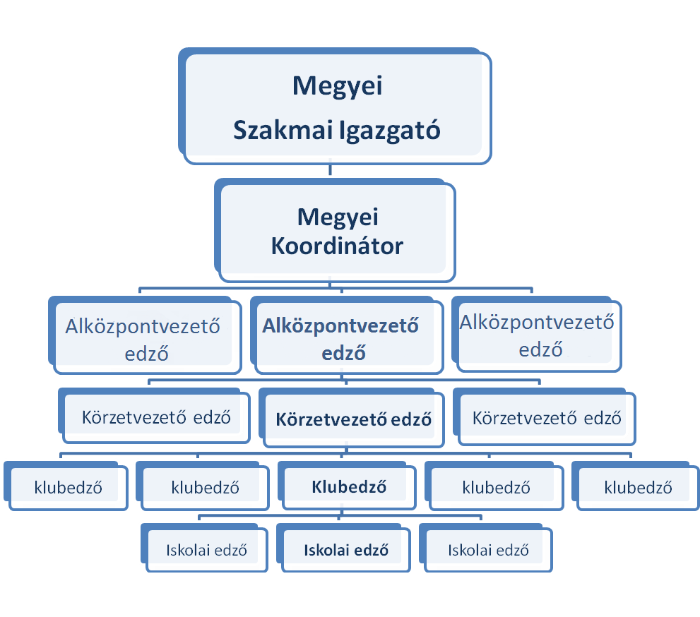 18 Bozsik Program -2012 szakmai felelősök: 20 Megyei Szakmai Igazgató - 20 Megyei Koordinátor - 70 Alközpontvezető edző - 221