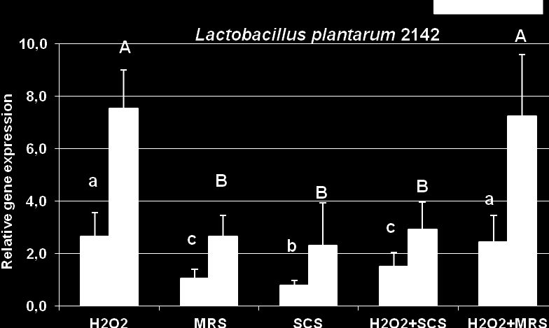 Hsp 70 relative gene expression expressziót az alacsonyabb dózisban alkalmazott sejtmentes felülúszó (3,33%v/v és a 6.