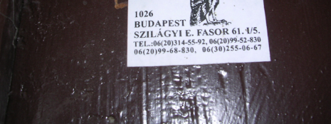 Települési Környezetvédelmi Program 58 A faj jellemzése A bagolyalkatúak rendjébe (Strigiformes), a gyöngybaglyok családjába (Tytonidae) tartozik. A fajnak 8 alfaja ismert.