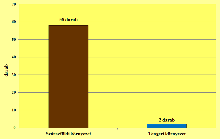 21. ábra: A tengeri környezetben keletkezett bioeróziós nyomok alaktani csoportjai 8.4.