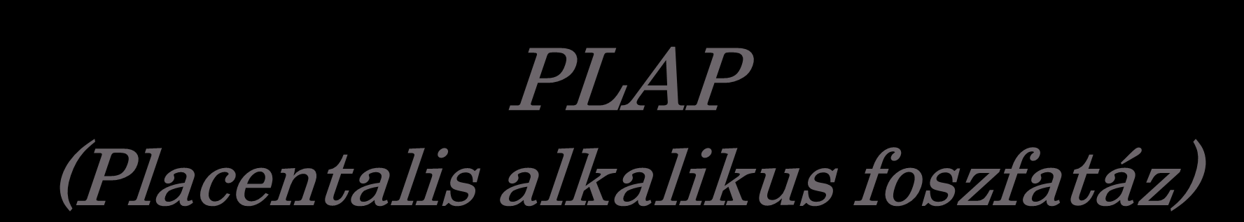 PLAP (Placentalis alkalikus foszfatáz) Az alkalikus foszfatázokat négy locusból álló géncsalád kódolja Három locus a szövetspecifikus (tissue specific) AP-okat kódolja (placental PLAP; germ cell