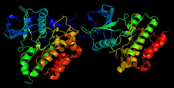 C-kit (CD 117) Transmembrane tyrosine kinase receptor Gén lokalizáció: 4q12 Tyrosine kinase receptor család III-as osztály tagja (coloniastimuláló faktos I; PDGFR A és B) Normál sejtekben: